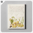 アートパネル-Wine Grape, Gillyflower, and Land Snail
 - 書道のお手本 Canvas.