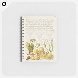 アートメモ帳-Wine Grape, Gillyflower, and Land Snail
 - 書道のお手本 Memo.