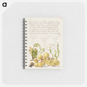 アートメモ帳-Wine Grape, Gillyflower, and Land Snail
 - 書道のお手本 Memo.