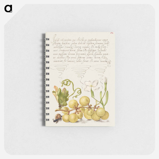 アートメモ帳-Wine Grape, Gillyflower, and Land Snail
 - 書道のお手本 Memo.