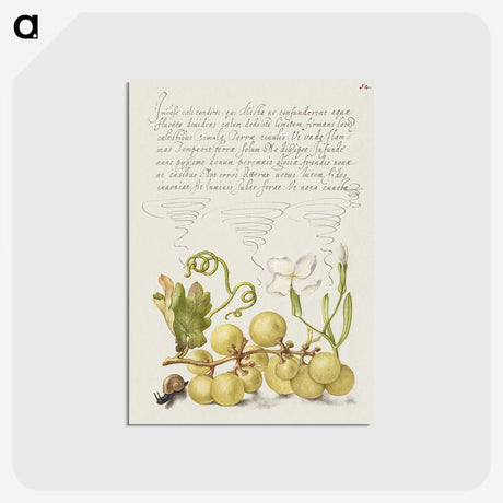 2-28_The-Model-Book-of-Calligraphy_postcard