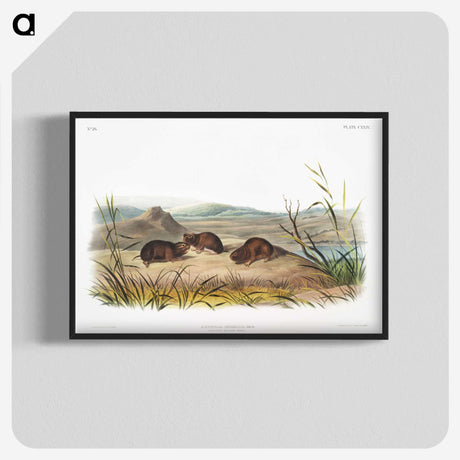 2-28_The-Viviparous-Quadrupeds_blk-crop