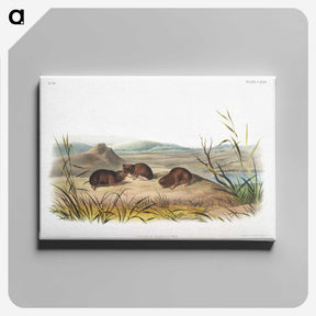 2-28_The-Viviparous-Quadrupeds_canvas