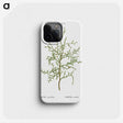 2-28_Treatise-on-Trees-and-Shrubs_phone