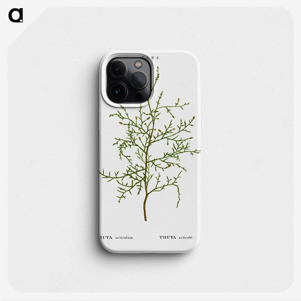 2-28_Treatise-on-Trees-and-Shrubs_phone