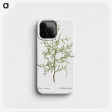 2-28_Treatise-on-Trees-and-Shrubs_phone