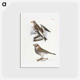 2-28_Zoology-of-New-York_hagaki