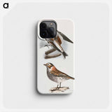 White Snowbird (Pletrophanes nivalis) - ニューヨークの動物学 Phone Case.