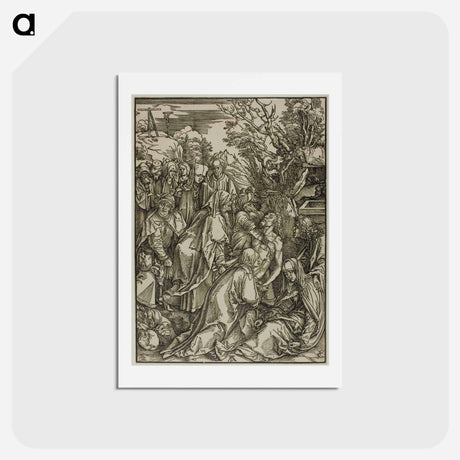 アートポストカード-The Deposition - アルブレヒト デューラー Postcard.