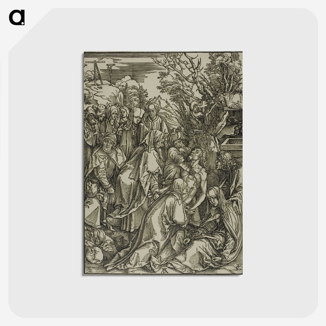 2-29_Albrecht-Durer_postcard