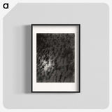 2-29_Alfred-Stieglitz_blk