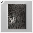 2-29_Alfred-Stieglitz_canvas