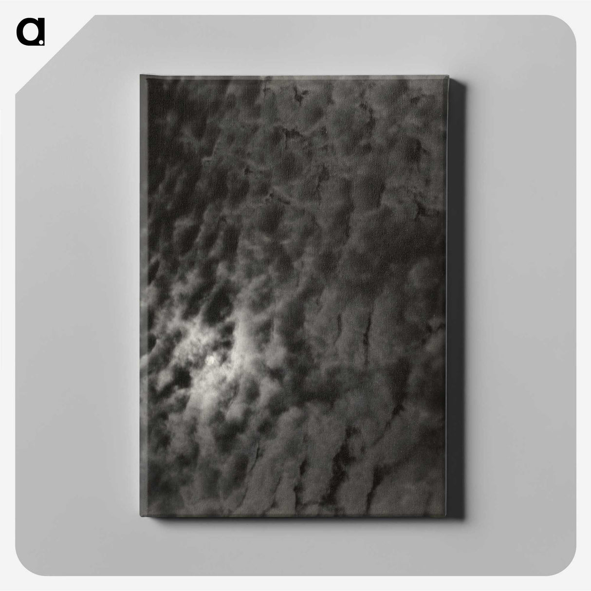 2-29_Alfred-Stieglitz_canvas