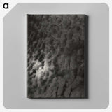 2-29_Alfred-Stieglitz_canvas
