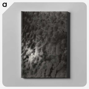 2-29_Alfred-Stieglitz_canvas