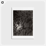 アートポストカード-Equivalents - アルフレッド スティーグリッツ Postcard.
