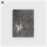 2-29_Alfred-Stieglitz_memo