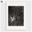 2-29_Alfred-Stieglitz_picture
