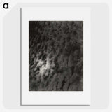 2-29_Alfred-Stieglitz_picture