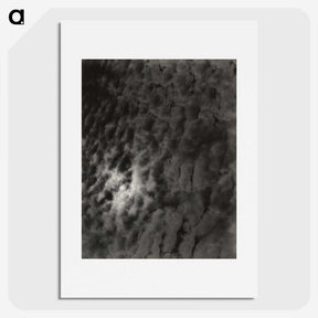 2-29_Alfred-Stieglitz_picture