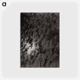 アートポストカード-Equivalents - アルフレッド スティーグリッツ Postcard.