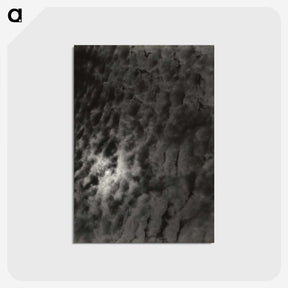 2-29_Alfred-Stieglitz_postcard
