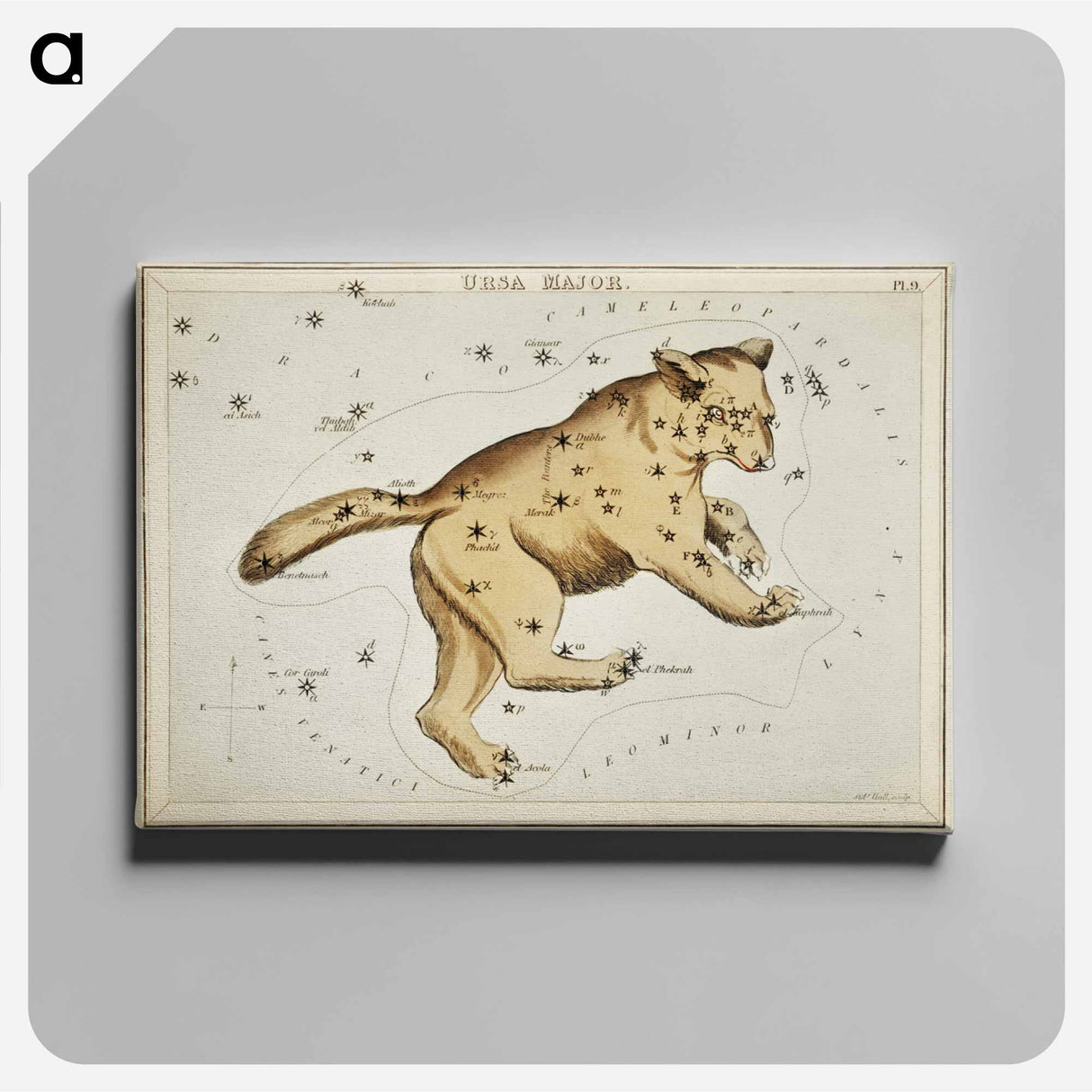 Sidney Hall’s astronomical chart illustration of the Ursa Major - アンティーク地図 Canvas.