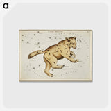 アートポストカード-Sidney Hall’s astronomical chart illustration of the Ursa Major - アンティーク地図 Postcard.