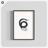 アートポスター-Plain-bellied Water Snake
 - 大英図書館 Poster.