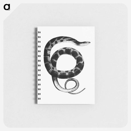 アートメモ帳-Plain-bellied Water Snake
 - 大英図書館 Memo.
