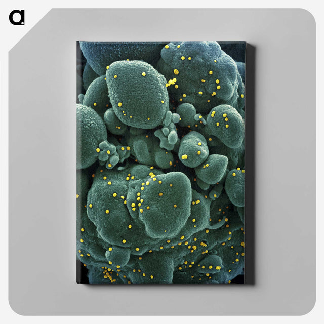 2-29_COVID-19_canvas