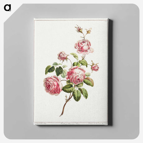 2-29_Cleveland-Museum-of-Art_canvas