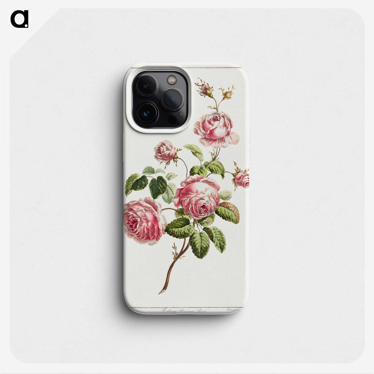 2-29_Cleveland-Museum-of-Art_phone