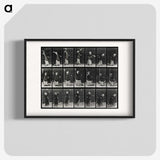2-29_Eadweard-Muybridge_blk