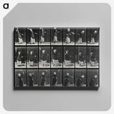 2-29_Eadweard-Muybridge_canvas