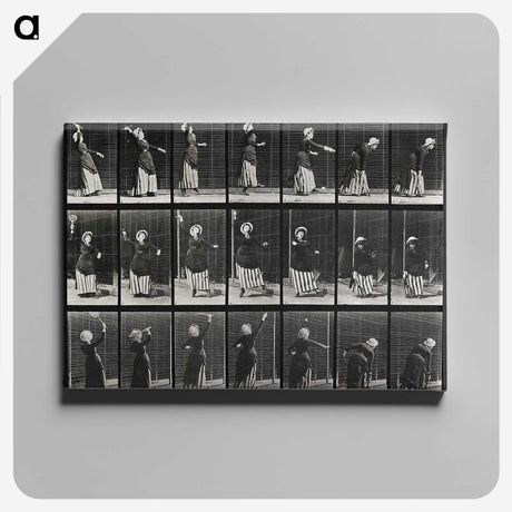 2-29_Eadweard-Muybridge_canvas