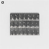 2-29_Eadweard-Muybridge_memo