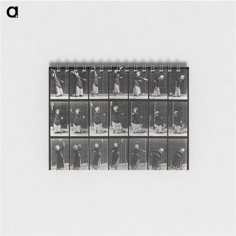 2-29_Eadweard-Muybridge_memo
