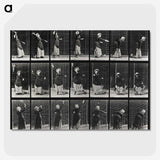 2-29_Eadweard-Muybridge_picture-crop