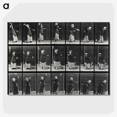 2-29_Eadweard-Muybridge_picture-crop