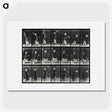 2-29_Eadweard-Muybridge_picture