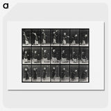 2-29_Eadweard-Muybridge_picture