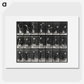 2-29_Eadweard-Muybridge_picture
