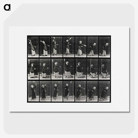 2-29_Eadweard-Muybridge_picture