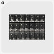 2-29_Eadweard-Muybridge_postcard