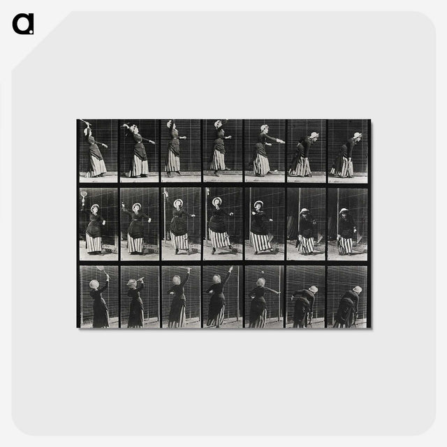 2-29_Eadweard-Muybridge_postcard
