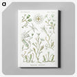 2-29_Ernst-Haeckel_canvas