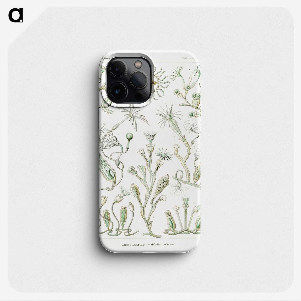 2-29_Ernst-Haeckel_phone