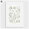 2-29_Ernst-Haeckel_picture