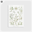 2-29_Ernst-Haeckel_postcard